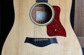 Taylor 510E-1.jpg